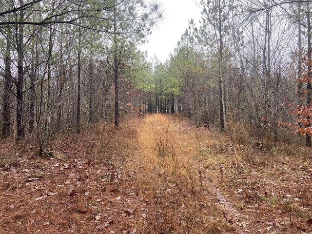 191 Vista Dr, Linden, TN 37096