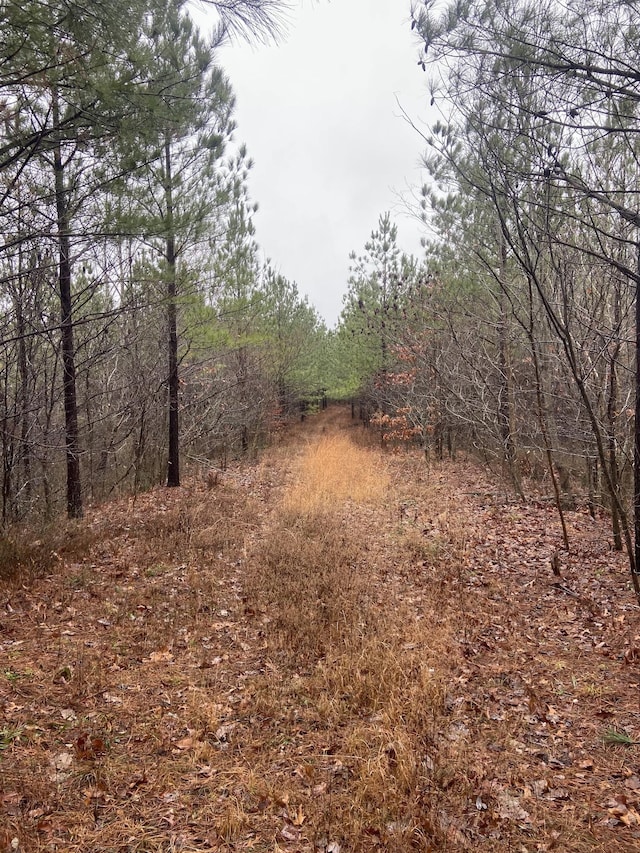 191 Vista Dr, Linden, TN 37096