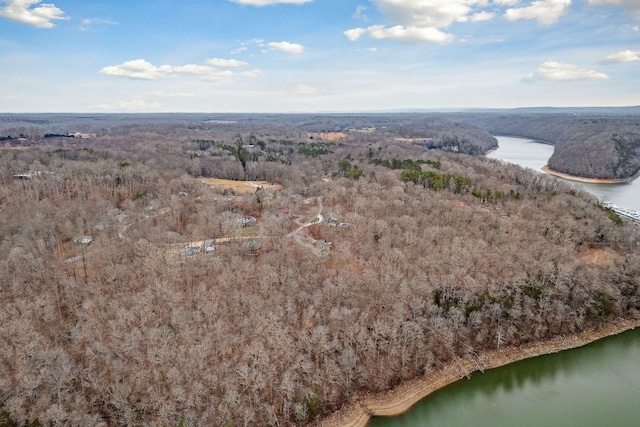 360 Witherspoon Dr, Smithville, TN 37166 - photo 4