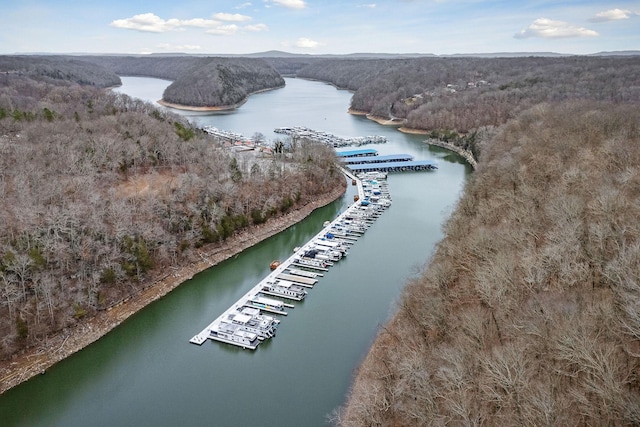 360 Witherspoon Dr, Smithville, TN 37166 - photo 13