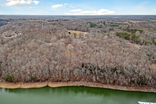 360 Witherspoon Dr, Smithville, TN 37166 - photo 6