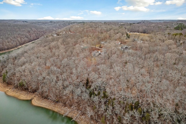 360 Witherspoon Dr, Smithville, TN 37166 - photo 8