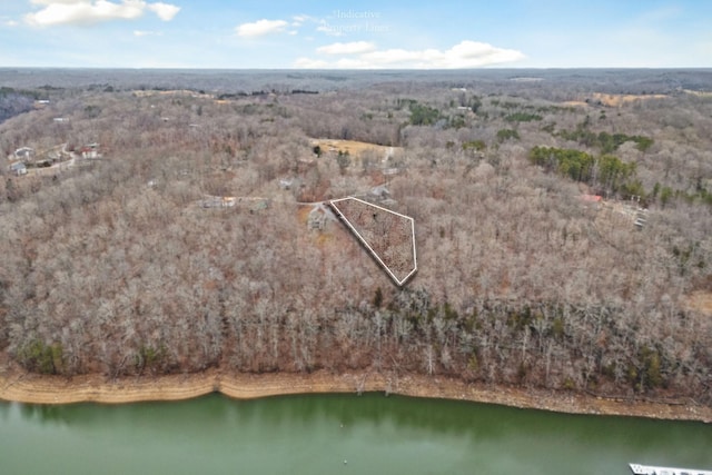 360 Witherspoon Dr, Smithville, TN 37166 - photo 5