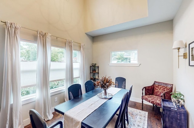 dining room featuring wood-type flooring