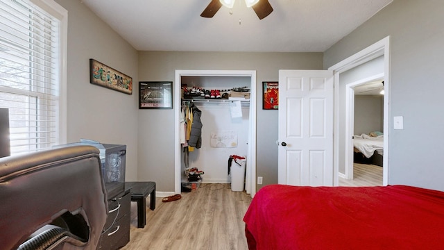 bedroom featuring a walk in closet, light hardwood / wood-style flooring, a closet, and ceiling fan