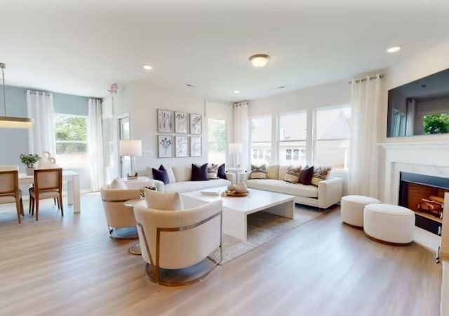 living room with hardwood / wood-style flooring