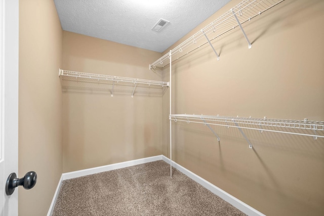 spacious closet featuring carpet floors