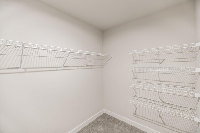 1335 Crescent Ridge Dr, Gallatin, TN 37066 - spacious closet featuring carpet floors