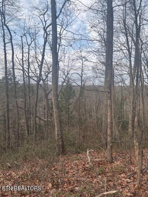 Listing photo 3 for 0 Davidson Dr, Monterey TN 38574