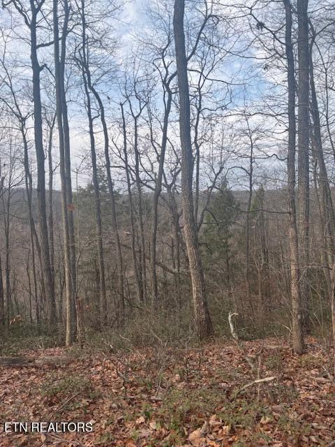 Listing photo 2 for 0 Davidson Dr, Monterey TN 38574