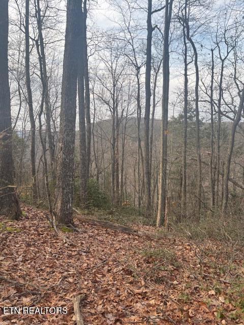 0 Davidson Dr, Monterey TN, 38574 land for sale