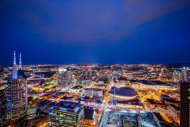 515 Church St Unit 3208, Nashville, TN 37219 - property's view of city