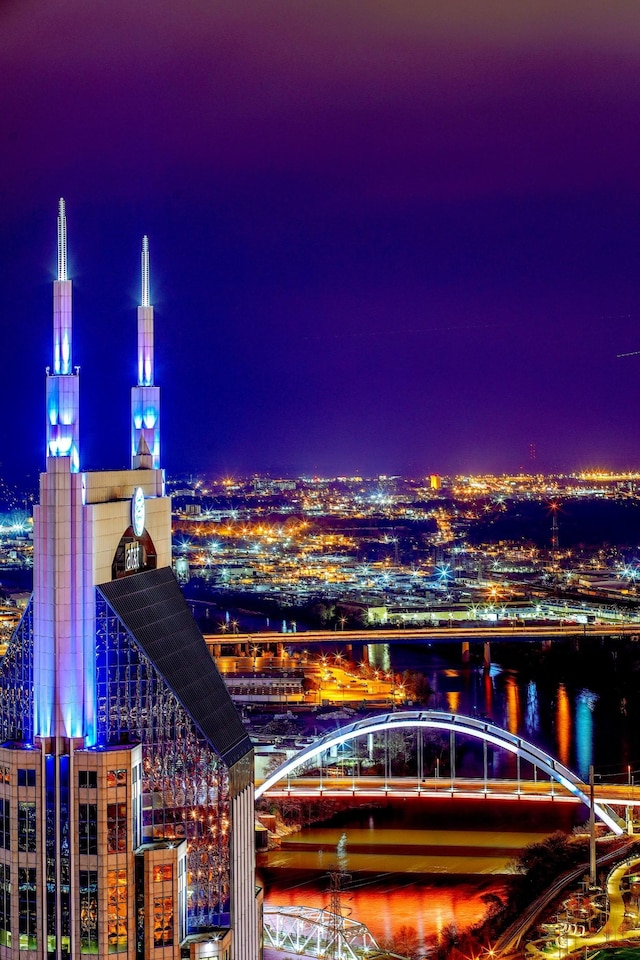 515 Church St Unit 3208, Nashville, TN 37219 - city view featuring a water view