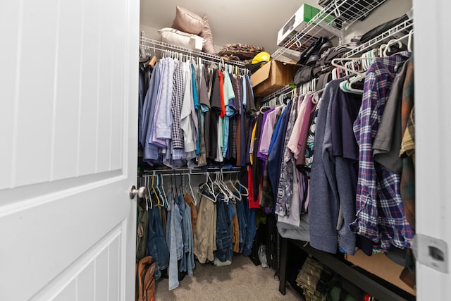 spacious closet with carpet floors