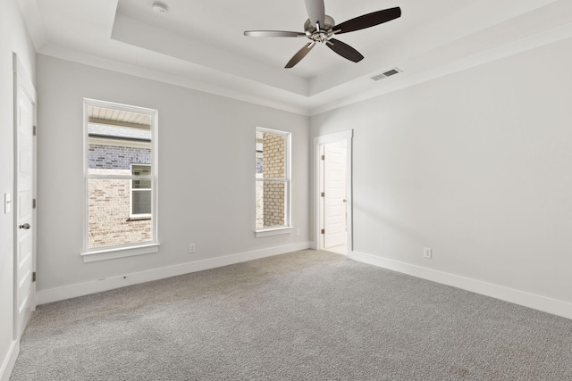 empty room featuring carpet floors, a wealth of natural light, and a raised ceiling