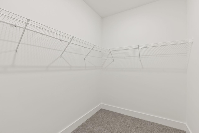 walk in closet with carpet