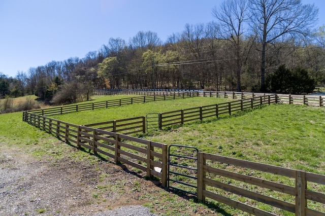 view of yard with a rural view