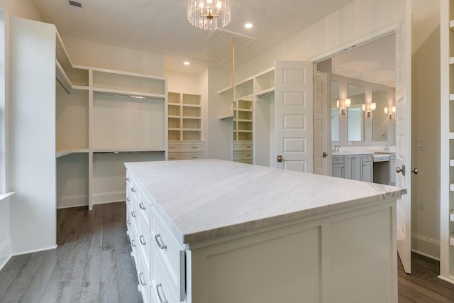 walk in closet with hardwood / wood-style floors and sink