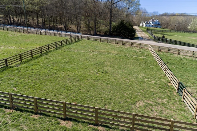 view of yard featuring a rural view