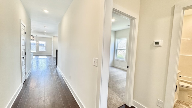 hall featuring wood-type flooring