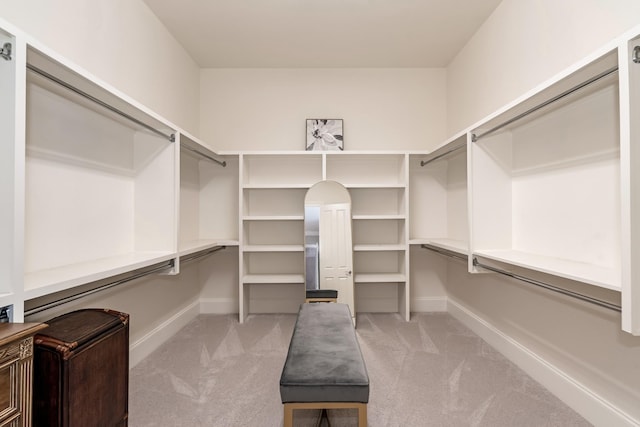 walk in closet with light colored carpet