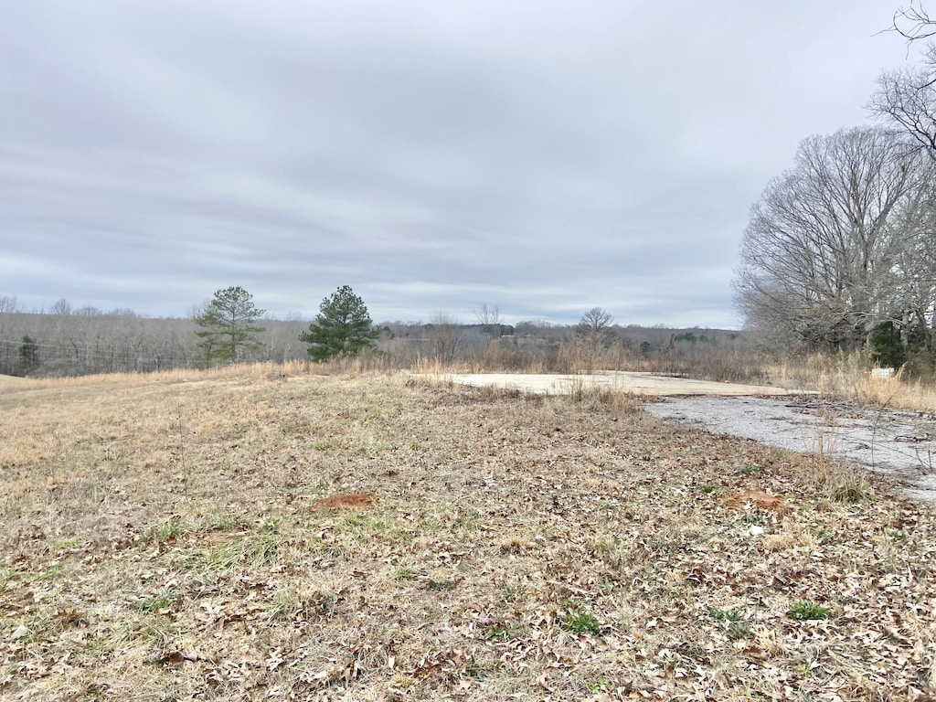 139 Backwoods Ln, Iron City, TN 38463 - photo 1