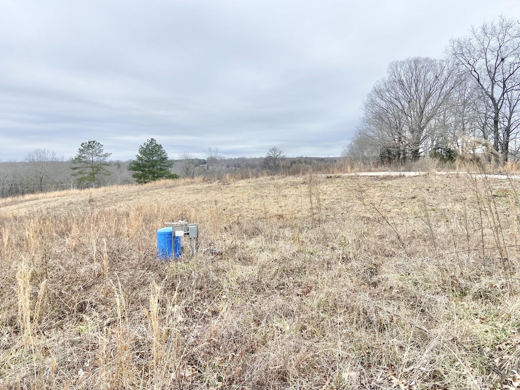 139 Backwoods Ln, Iron City, TN 38463 - photo 2