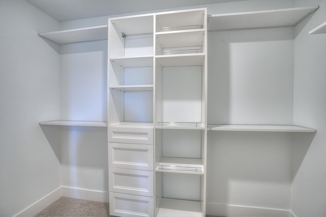 spacious closet with carpet