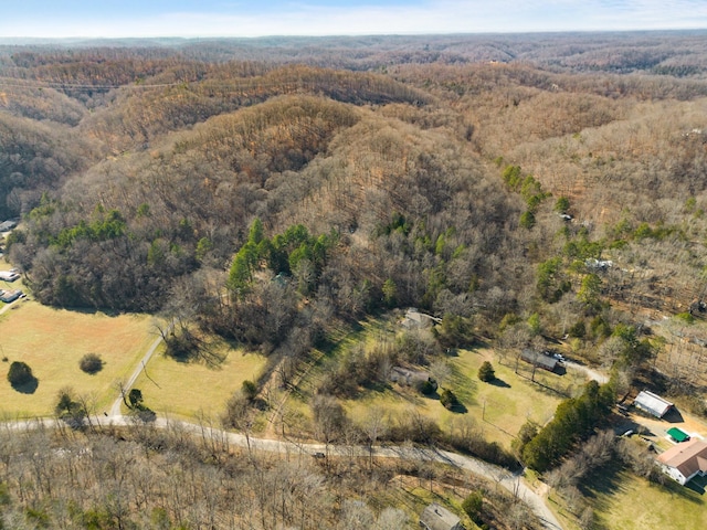 bird's eye view