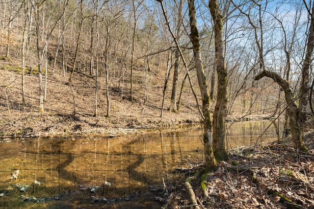 view of local wilderness featuring a water view