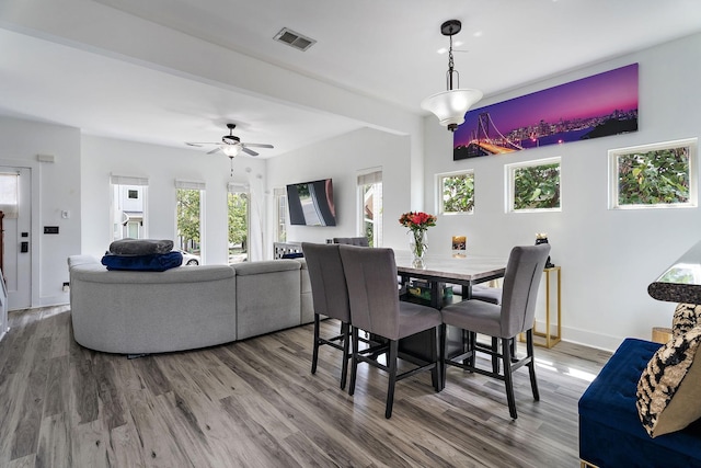 dining room with ceiling fan and wood-type flooring