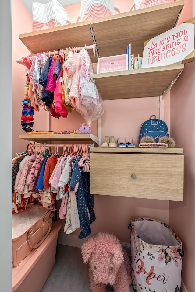 spacious closet with wood finished floors