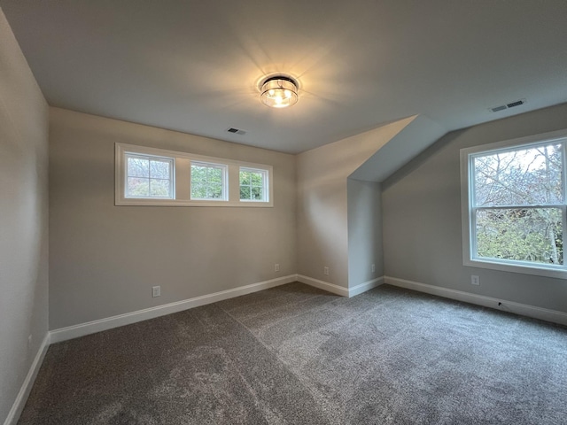 bonus room featuring carpet flooring