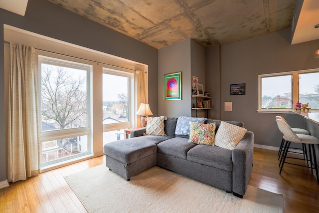 living room featuring wood-type flooring