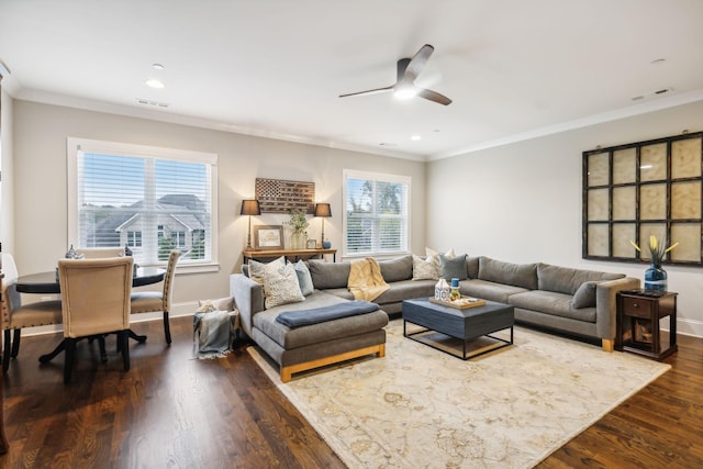 living room featuring crown molding, a wealth of natural light, ceiling fan, and dark hardwood / wood-style flooring