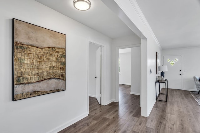 entryway featuring crown molding, hardwood / wood-style floors, and a wealth of natural light