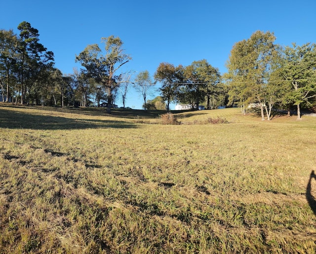 view of yard featuring a rural view