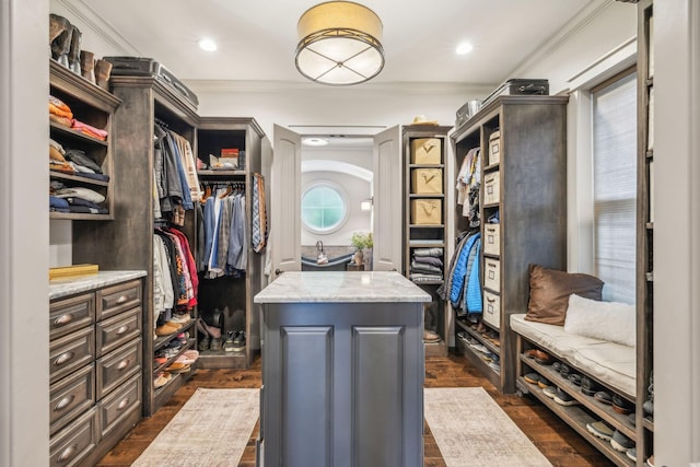 spacious closet featuring dark wood-style floors