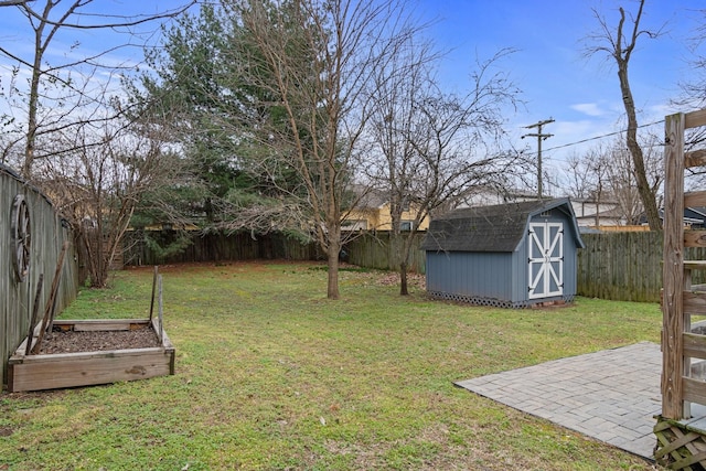 view of yard featuring a storage shed and a patio