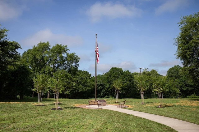 view of community with a yard