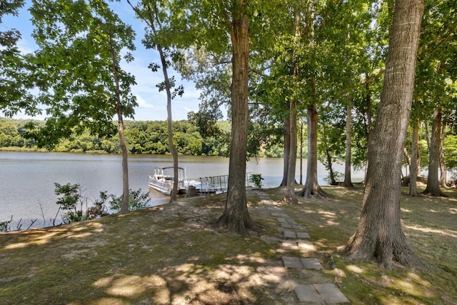 view of yard with a water view and a boat dock