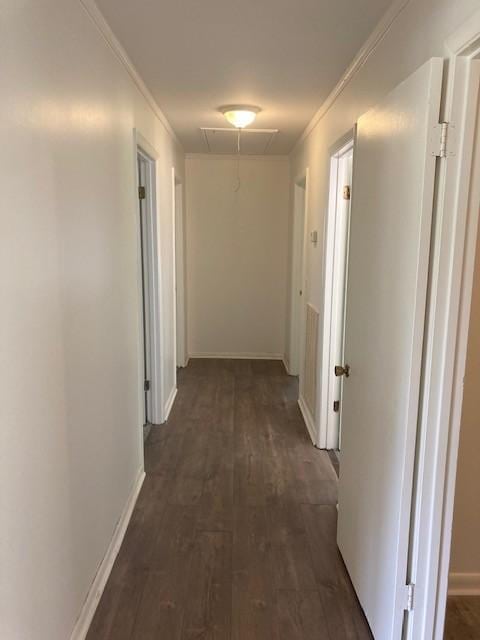 hallway featuring ornamental molding and dark hardwood / wood-style floors