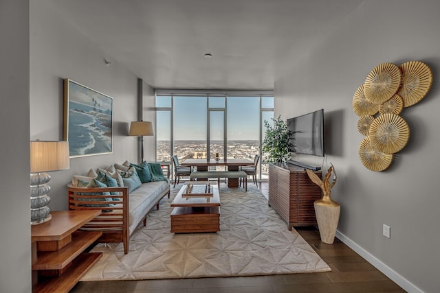 living room featuring floor to ceiling windows, wood finished floors, and baseboards