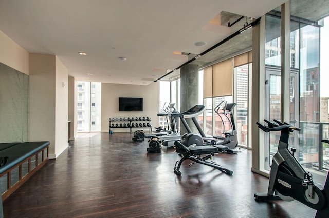 gym with floor to ceiling windows and wood finished floors