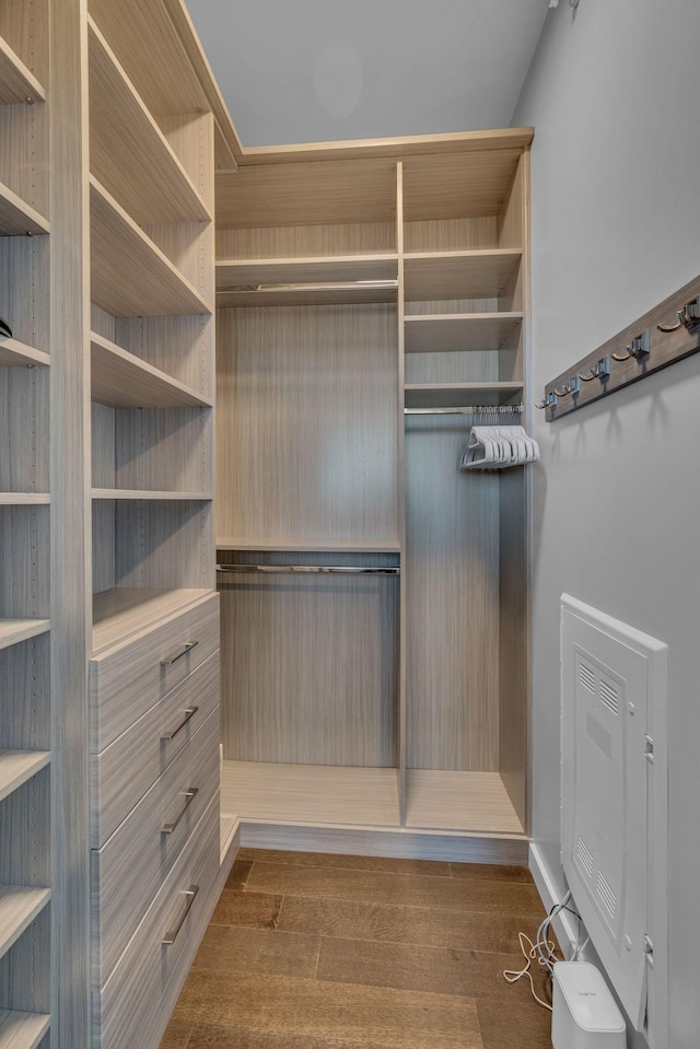 walk in closet with dark wood-type flooring