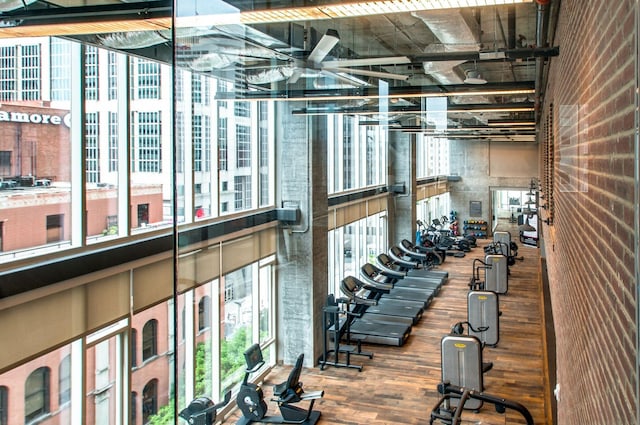 workout area with wood finished floors and a healthy amount of sunlight