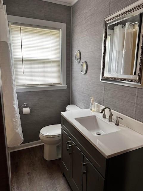 bathroom featuring hardwood / wood-style flooring, vanity, and toilet