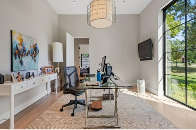 office space featuring light hardwood / wood-style floors