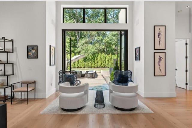 interior space featuring a towering ceiling and light hardwood / wood-style floors