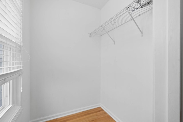 spacious closet with wood-type flooring